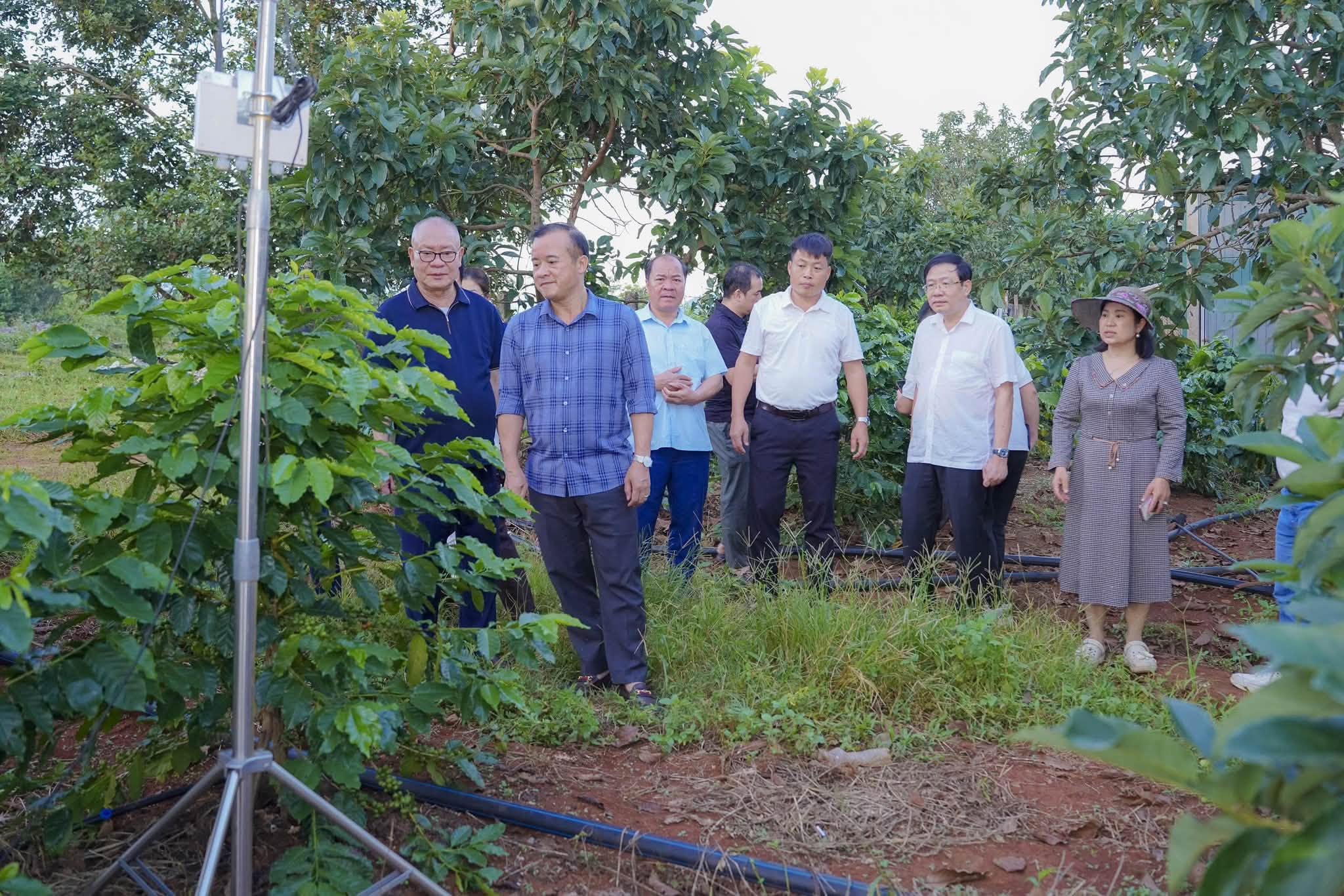 Đoàn công tác xã Suối Hai đã đến tham quan, học tập kinh nghiệm tại Hợp tác xã Nông sản Khe Sanh, tỉnh Quảng Trị