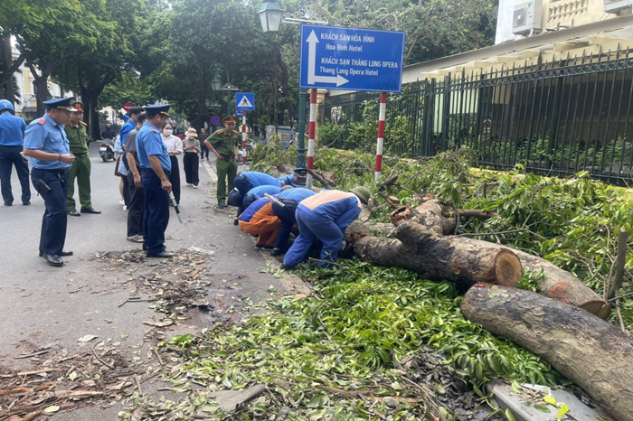 Thành phố Hà Nội huy động lực lượng khắc phục tình trạng cây xanh gãy đổ sau bão, đảm bảo trật tự và an toàn giao thông