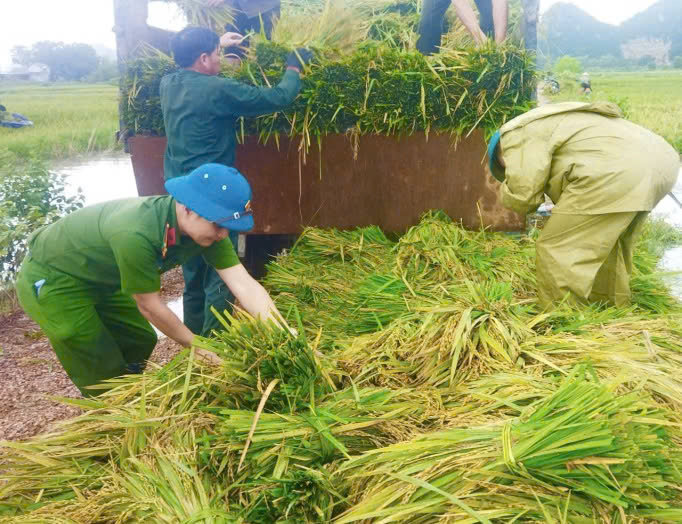 Công an huyện Mỹ Đức sát cánh cùng người dân khắc phục hậu quả bão lũ