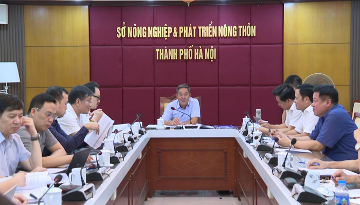 Thành phố Hà Nội triển khai điều chỉnh quy hoạch đê điều và phát triển nông nghiệp bền vững theo Luật Thủ đô
