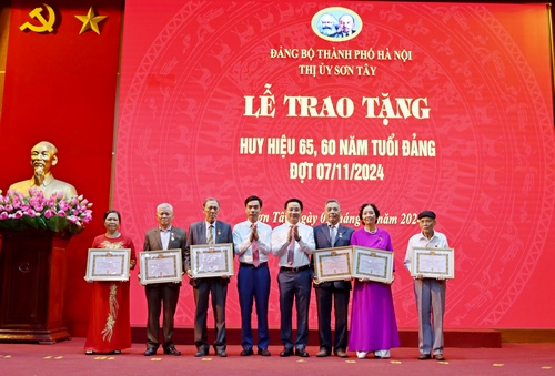 Sơn Tây trao Huy hiệu Đảng đợt 7/11