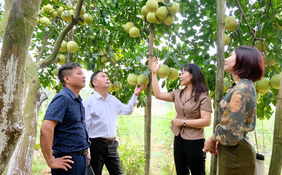 Hà Nội tổ chức hội nghị đối thoại với nông dân: Đẩy mạnh chuyển đổi số, phát triển nông nghiệp bền vững