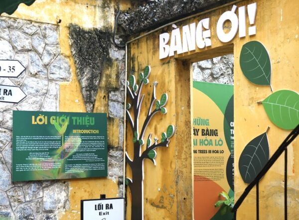 Trưng bày “Bàng ơi!”: Từ ký ức đấu tranh đến nguồn cảm hứng nghệ thuật