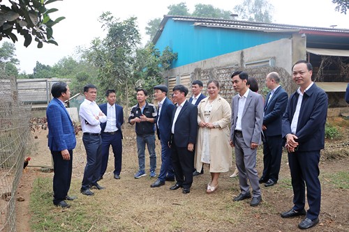 Lãnh đạo thị xã Sơn Tây thăm, chúc Tết các hộ sản xuất xã Xuân Sơn nhân dịp đầu năm mới