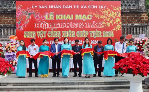 Thị xã Sơn Tây khai mạc Hội trưng bày sinh vật cảnh Xuân Giáp Thìn 2024