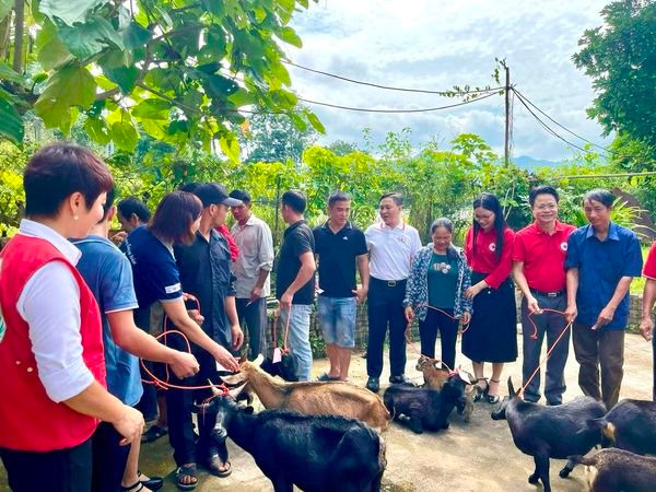 Tinh thần nhân ái lan tỏa: Trao tặng dê giống, quà hỗ trợ cho người dân gặp khó khăn