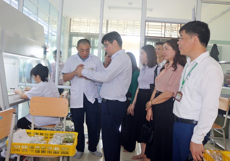 Học viện Nông nghiệp Việt Nam hợp tác với các huyện Chương Mỹ, Quốc Oai, Thạch Thất trong phát triển nông nghiệp