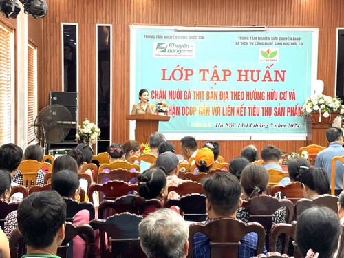 Nâng cao hiệu quả chăn nuôi gà hữu cơ tại thị xã Sơn Tây: Lớp tập huấn chuyên sâu cho nông dân