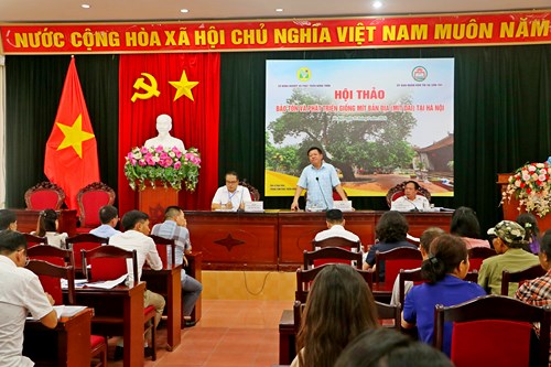 Mít Hà Nội: Tiềm năng và thách thức trên hành trình khẳng định thương hiệu