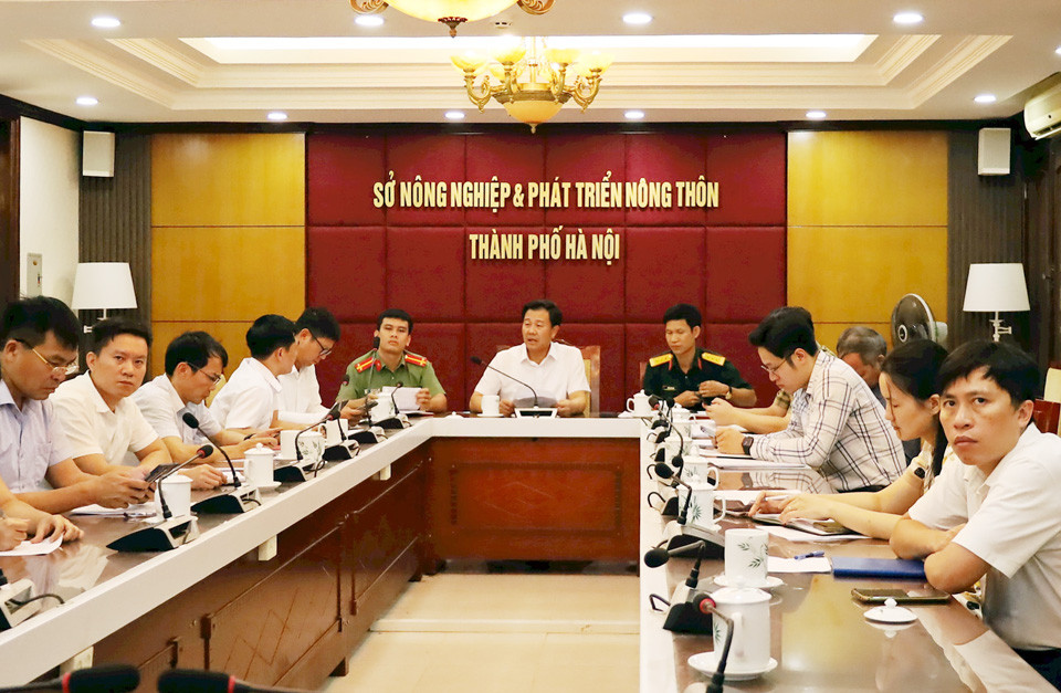 Bão số 3 tăng cường lên cấp 15, các địa phương gấp rút triển khai biện pháp ứng phó