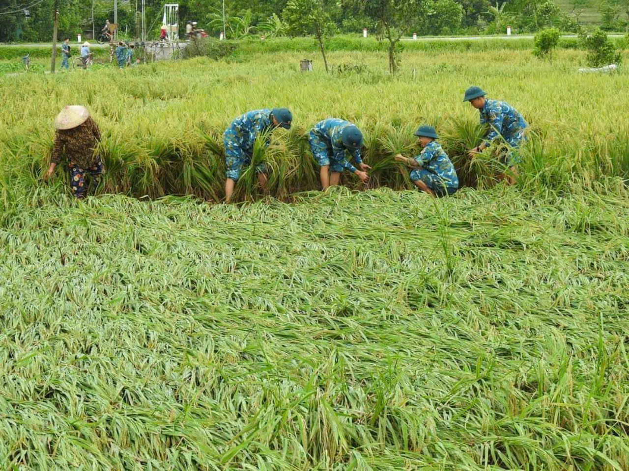 Công điện số 12/CĐ-UBND về việc tập trung khắc phục hậu quả do ảnh hưởng của bão số 3 và chủ động phòng, chống, khắc phục hậu quả thiên tai trong thời gian tới