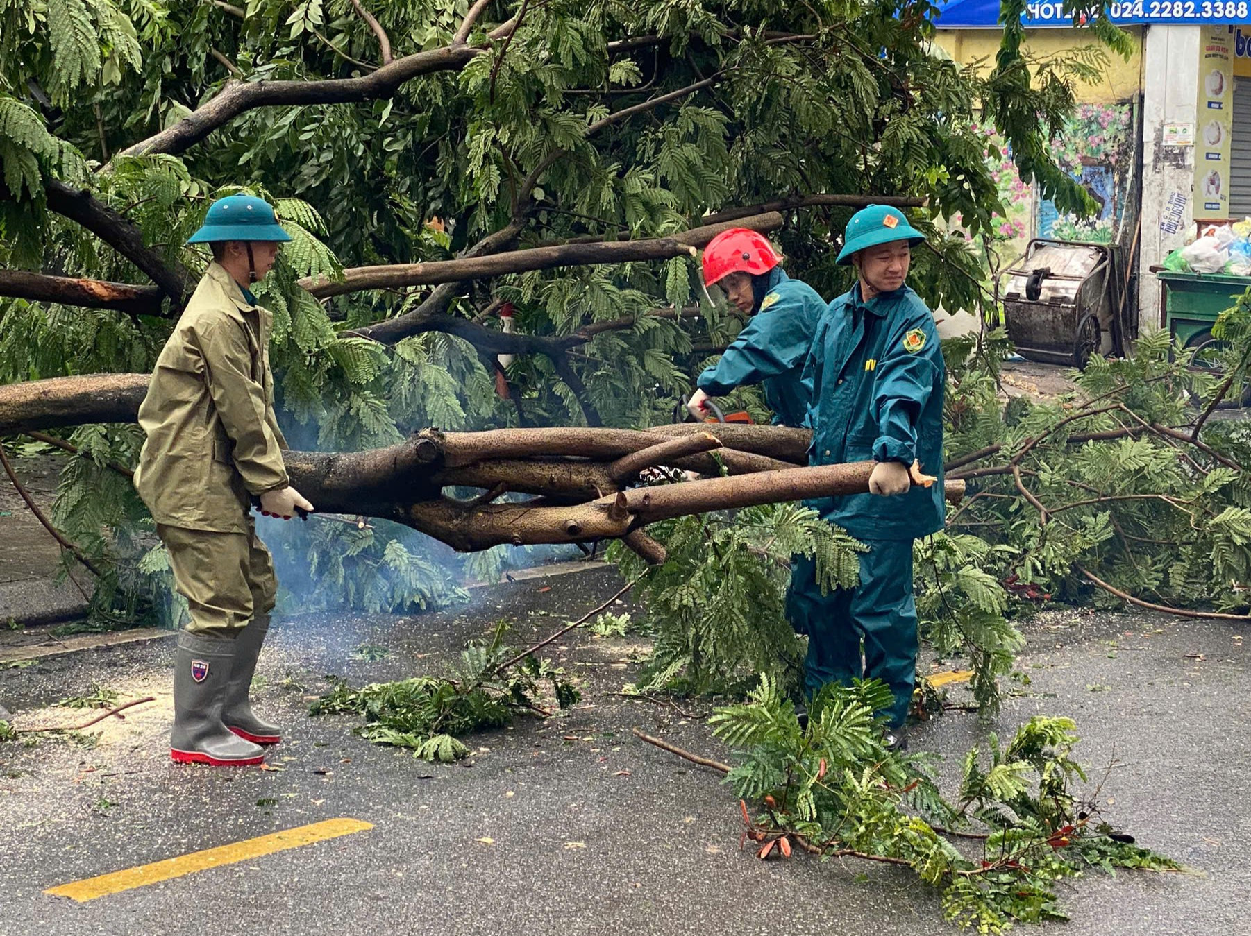 Triển khai các biện pháp khắc phục, giải tỏa cây xanh gãy, đổ sau cơn bão số 3 trên địa bàn thành phố Hà Nội