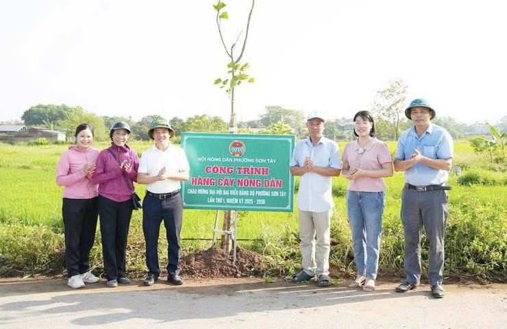 Phường Sơn Tây gắn biển công trình “Hàng cây Nông dân”: Lan tỏa thông điệp xanh chào mừng Đại hội Đảng bộ phường lần thứ I