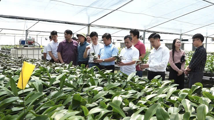 Khảo sát các mô hình kinh tế tiêu biểu, thúc đẩy phát triển nông nghiệp bền vững tại xã Dân Hòa