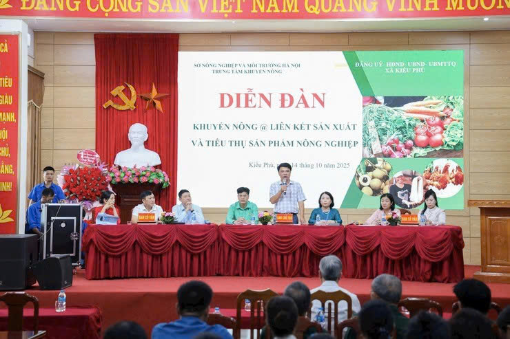 Xã Kiều Phú thúc đẩy liên kết sản xuất – tiêu thụ nông sản an toàn, tạo nền tảng phát triển nông nghiệp bền vững