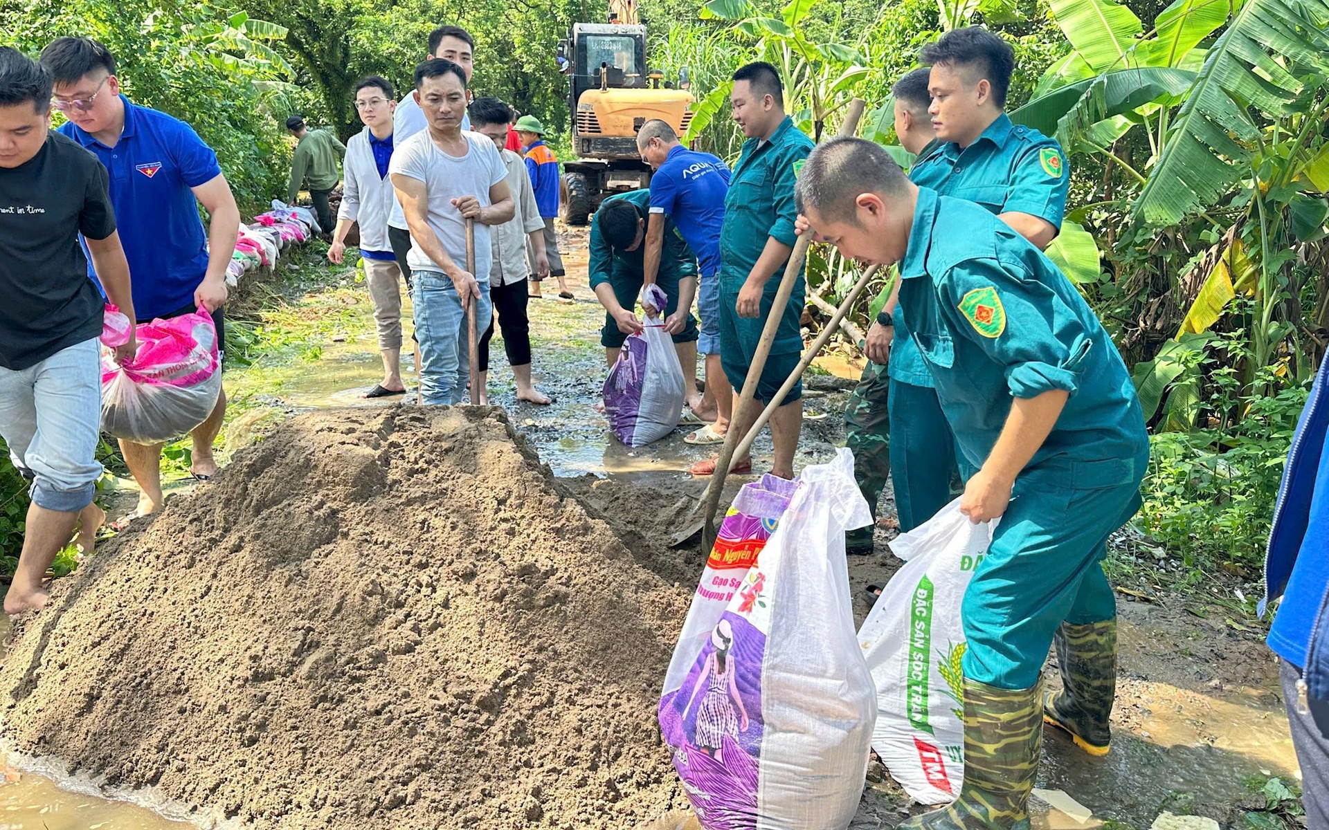 Xã Thanh Trì chủ động ứng phó bão số 10, bảo đảm an toàn đê điều và đời sống người dân