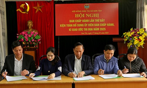 Hội Nông dân thị xã Sơn Tây triển khai nhiệm vụ 2025: Hướng tới phát triển bền vững và nâng cao đời sống hội viên