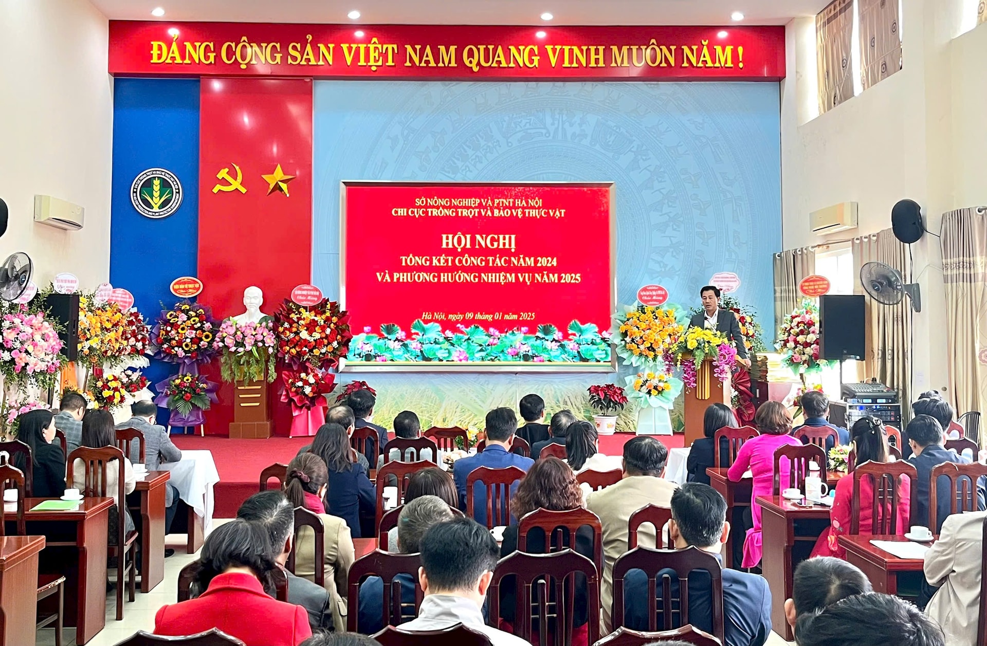 Hà Nội: Chủ động khắc phục hậu quả thiên tai, đảm bảo sản xuất nông nghiệp ổn định