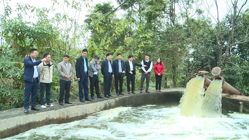 Huyện Phúc Thọ dồn sức cho sản xuất vụ Xuân, quyết tâm hoàn thành đúng khung thời vụ