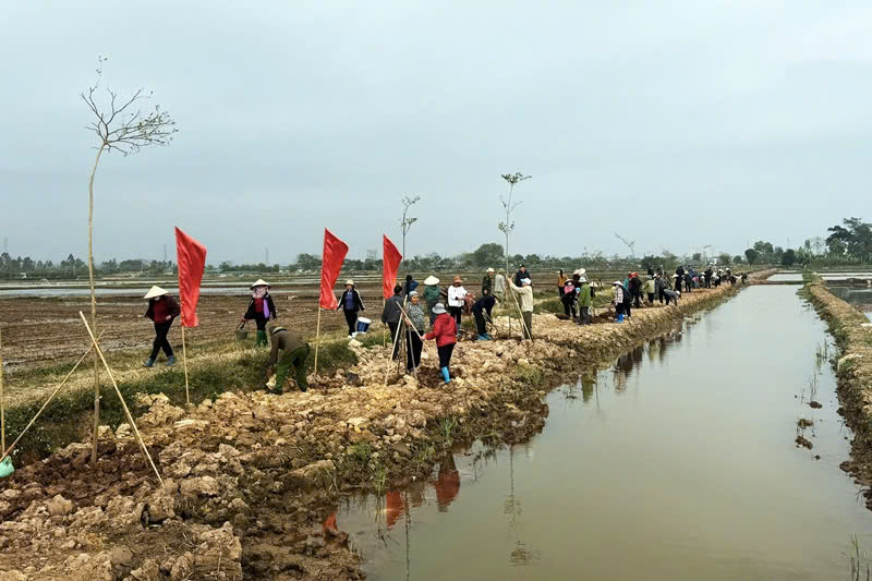 Xã Hợp Đồng (huyện Chương Mỹ) rộn ràng khí thế đầu xuân với phong trào trồng cây đầy ý nghĩa