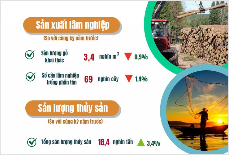 Hà Nội đẩy mạnh sản xuất nông nghiệp đầu năm, giữ vững ổn định chăn nuôi, bứt tốc gieo cấy vụ Xuân 2025