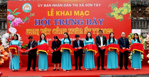 Sắc xuân hội tụ tại Hội trưng bày sinh vật cảnh Sơn Tây Xuân Ất Tỵ 2025