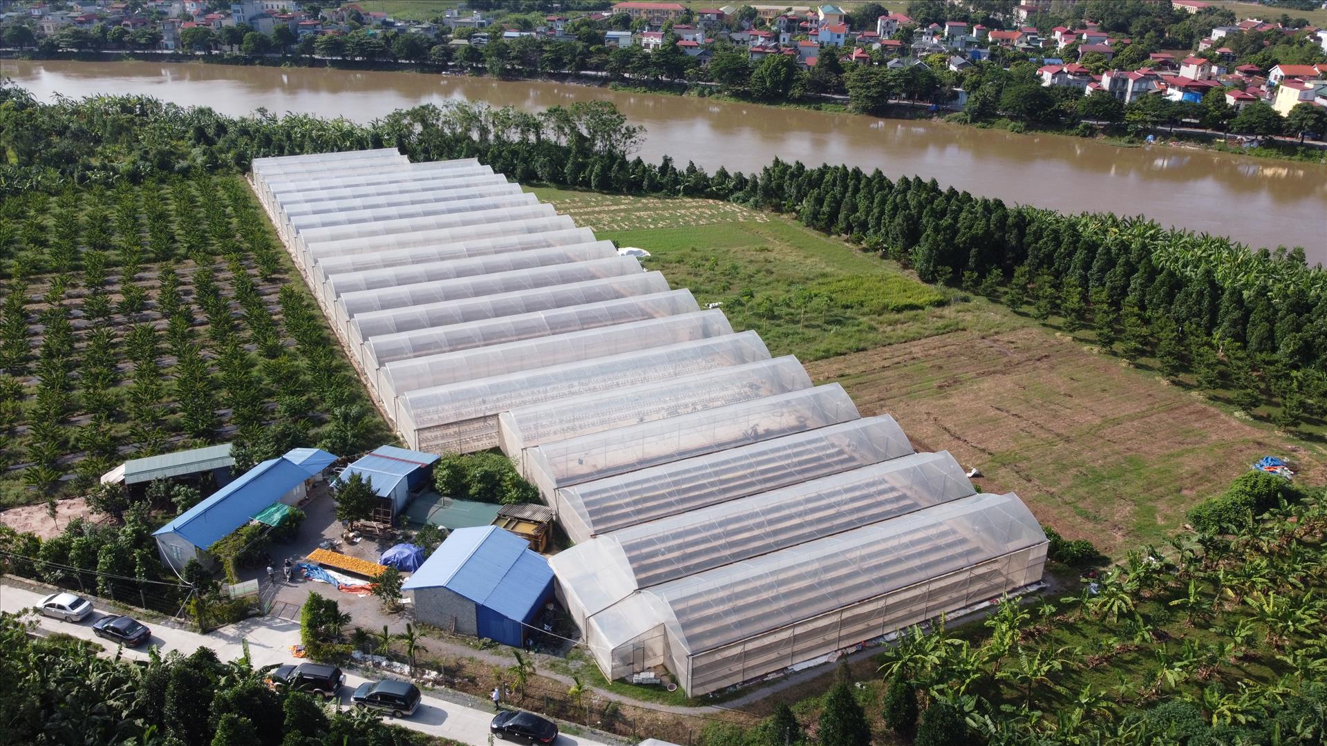 Hà Nội ban hành quy định về tiêu chí, kiểm định chất lượng và quy chế kiểm tra, nghiệm thu một số sản phẩm, dịch vụ công lĩnh vực nông nghiệp và phát triển nông thôn 