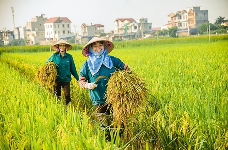 Nông nghiệp Hà Nội khởi sắc quý I-2025: Tăng trưởng toàn diện, phát triển bền vững