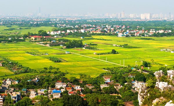 Hà Nội triển khai Tổng điều tra nông thôn, nông nghiệp năm 2025 trong bối cảnh tổ chức thực hiện mô hình chính quyền địa phương hai cấp