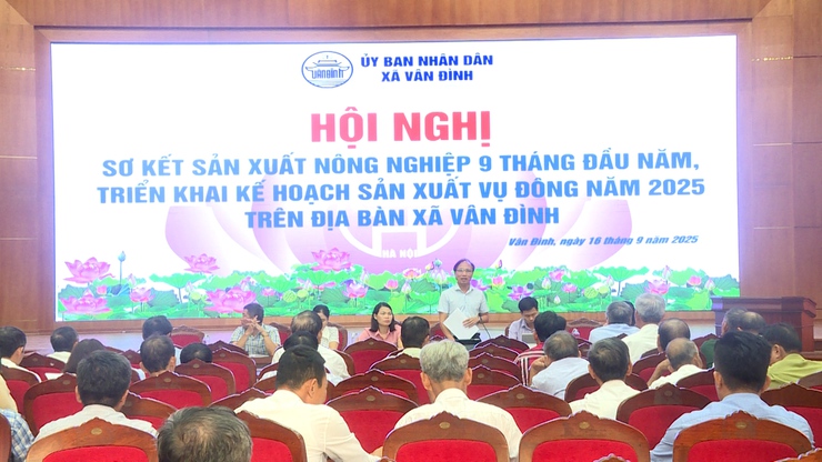 Xã Vân Đình triển khai kế hoạch sản xuất vụ Đông năm 2025