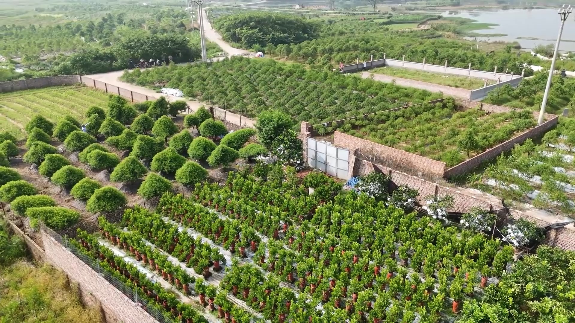 Nghị quyết đi vào cuộc sống, tạo động lực phát triển kinh tế nông nghiệp xã Quảng Oai