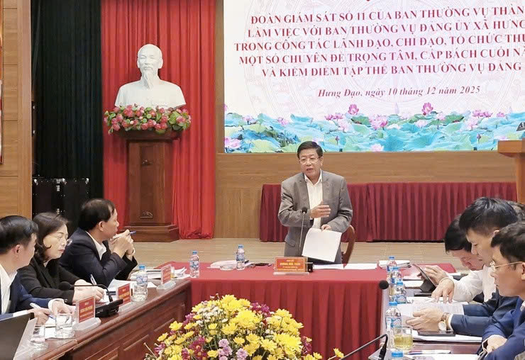 Giám sát công tác lãnh đạo, chỉ đạo tại xã Hưng Đạo gắn với kiểm điểm năm 2025