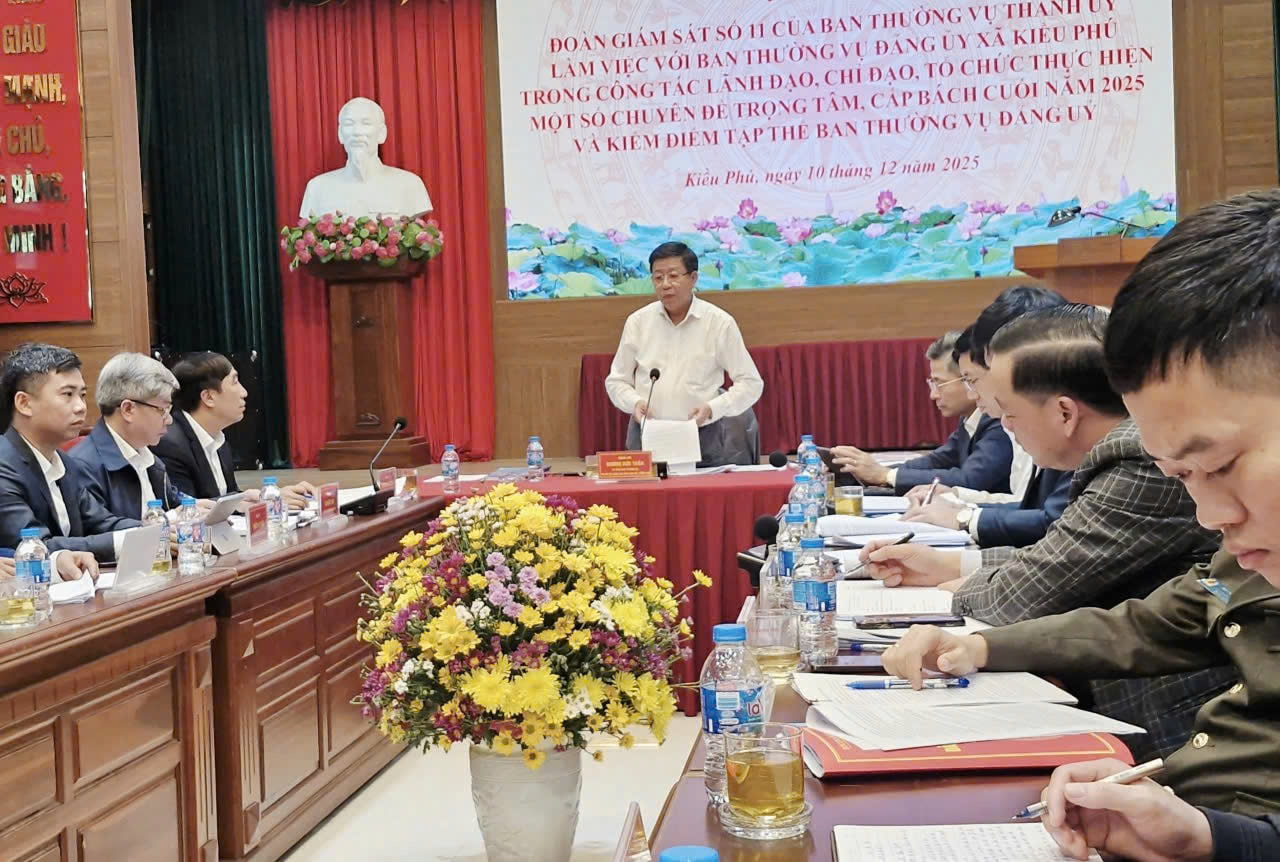 Giám sát công tác lãnh đạo, chỉ đạo tại xã Kiều Phú gắn với kiểm điểm năm 2025