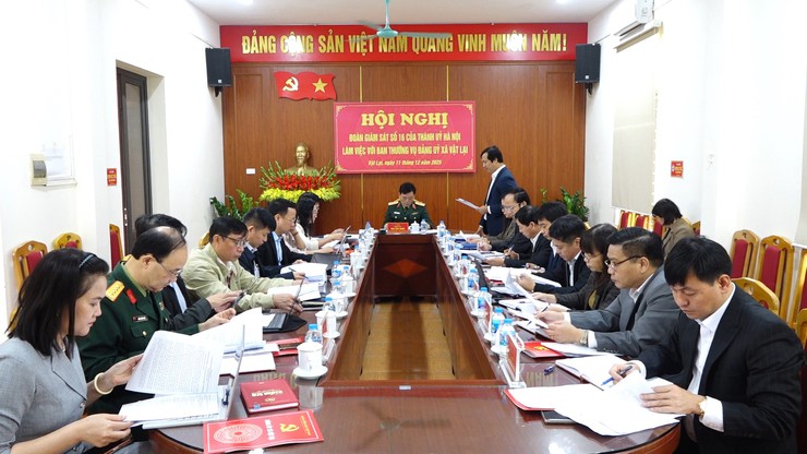 Giám sát việc thực hiện mô hình chính quyền địa phương hai cấp và việc thực hiện một số nhiệm vụ quản lý nhà nước tại xã Vật Lại