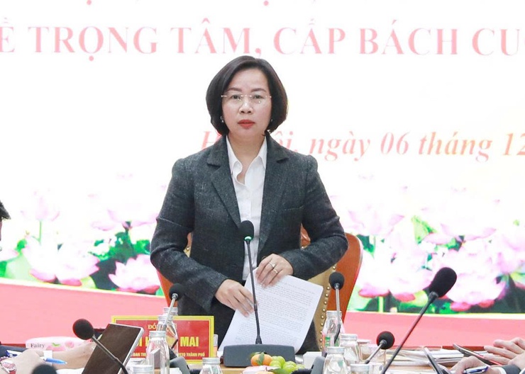 Giám sát việc triển khai các chuyên đề trọng tâm, cấp bách tại xã Đại Thanh
