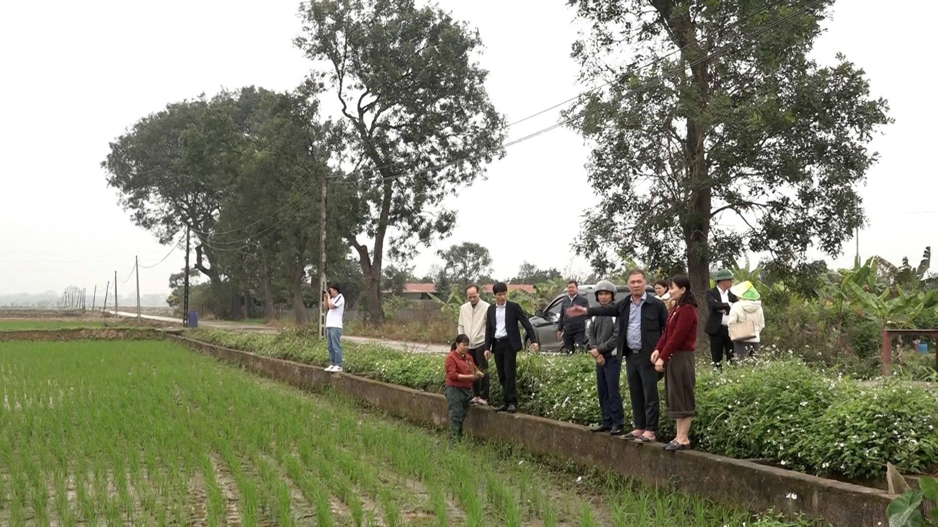Lãnh đạo xã Mỹ Đức xuống đồng kiểm tra sản xuất vụ xuân, quyết tâm hoàn thành cấy lúa đúng khung thời vụ