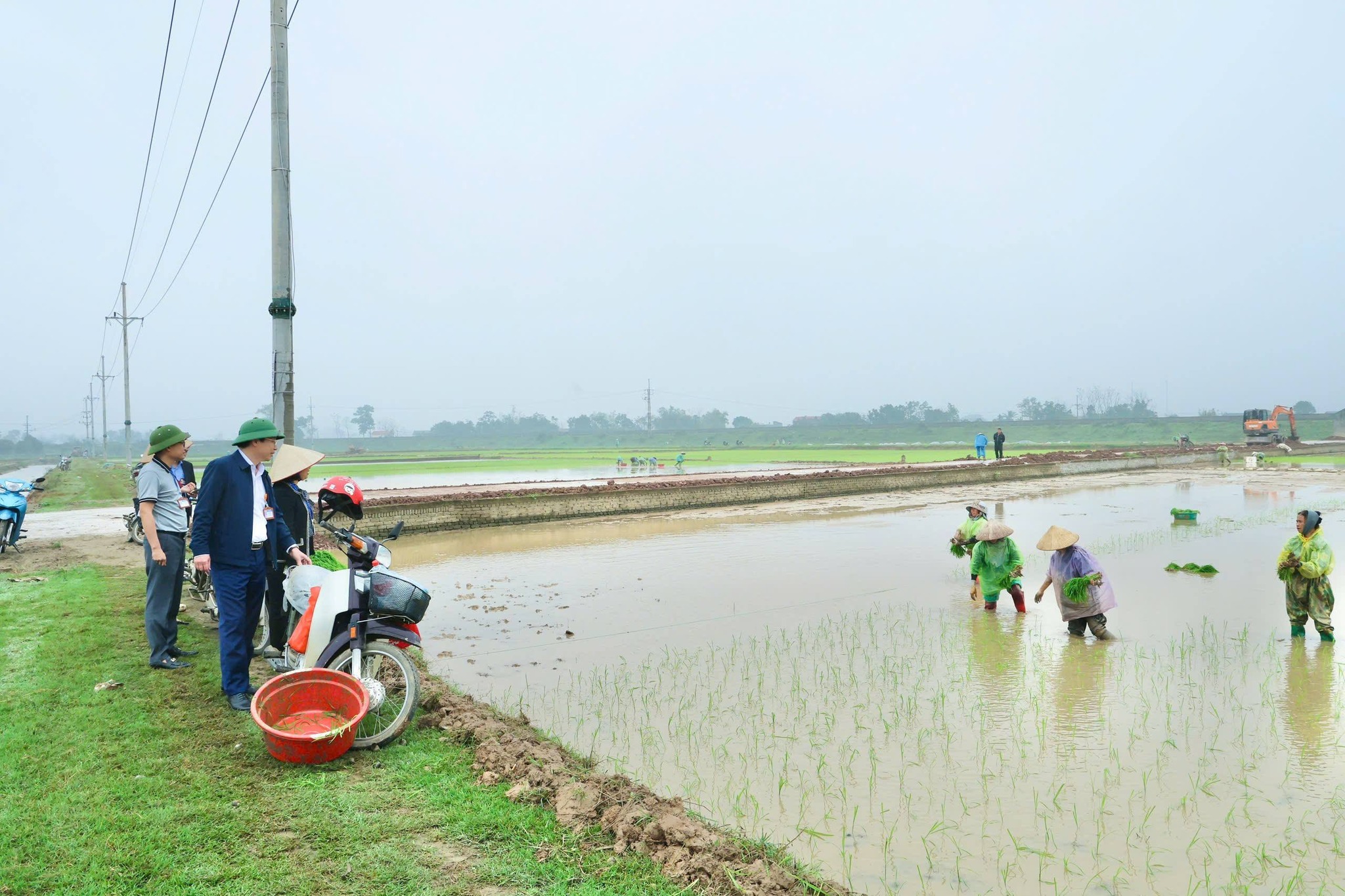 Chủ tịch UBND xã Phú Nghĩa xuống đồng đốc thúc sản xuất, quyết tâm hoàn thành 1.750ha lúa vụ xuân đúng khung thời vụ