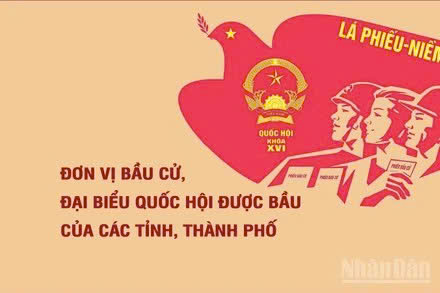 [Infographic] Số lượng đơn vị bầu cử và số lượng đại biểu Quốc hội được bầu tại các tỉnh, thành phố