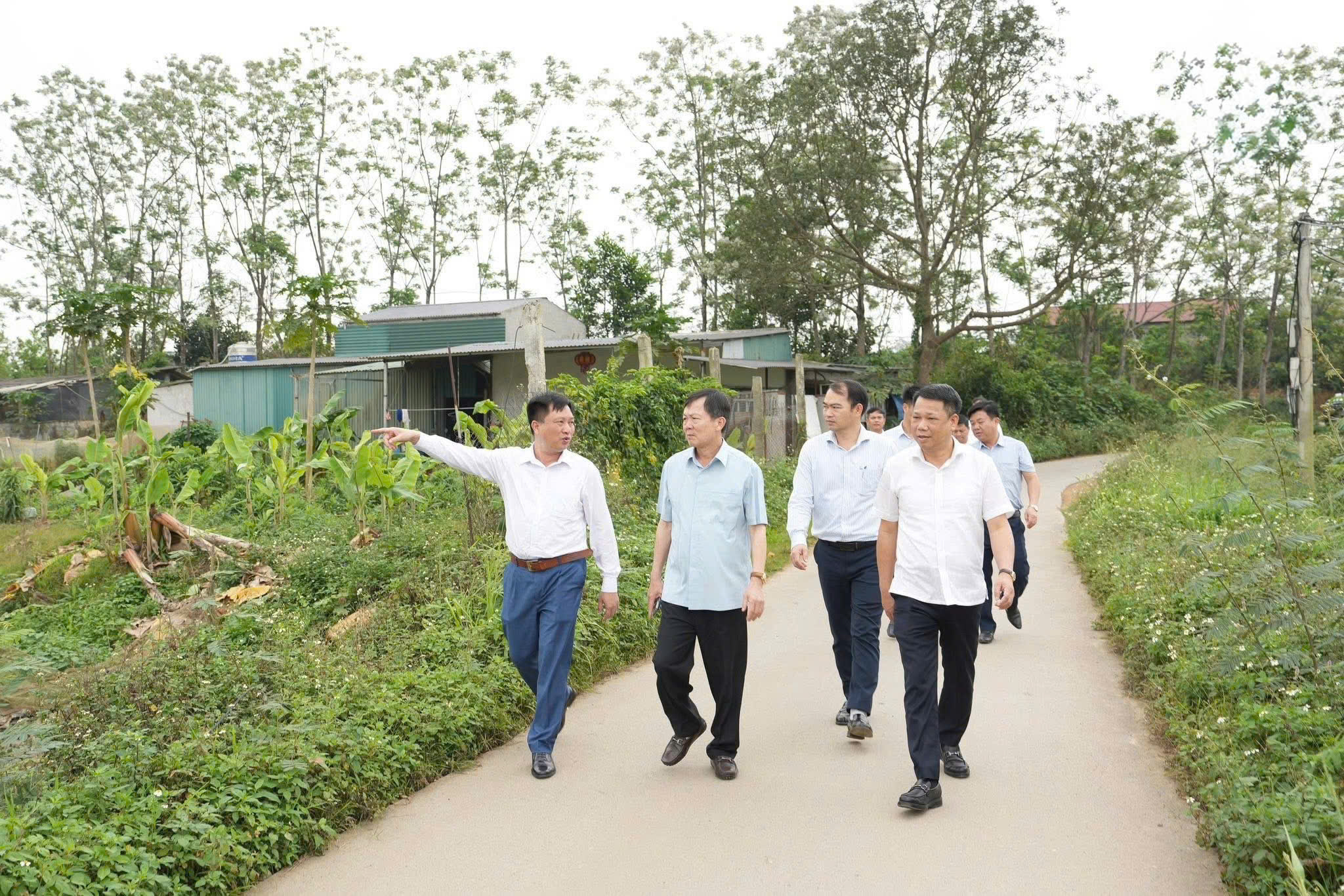 Xã Phú Cát rà soát quy hoạch tổng thể, thúc đẩy tiến độ các dự án hạ tầng trọng điểm