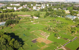 Đẩy nhanh xây dựng cơ sở dữ liệu đất đai, phục vụ hiệu quả quản lý và chuyển đổi số