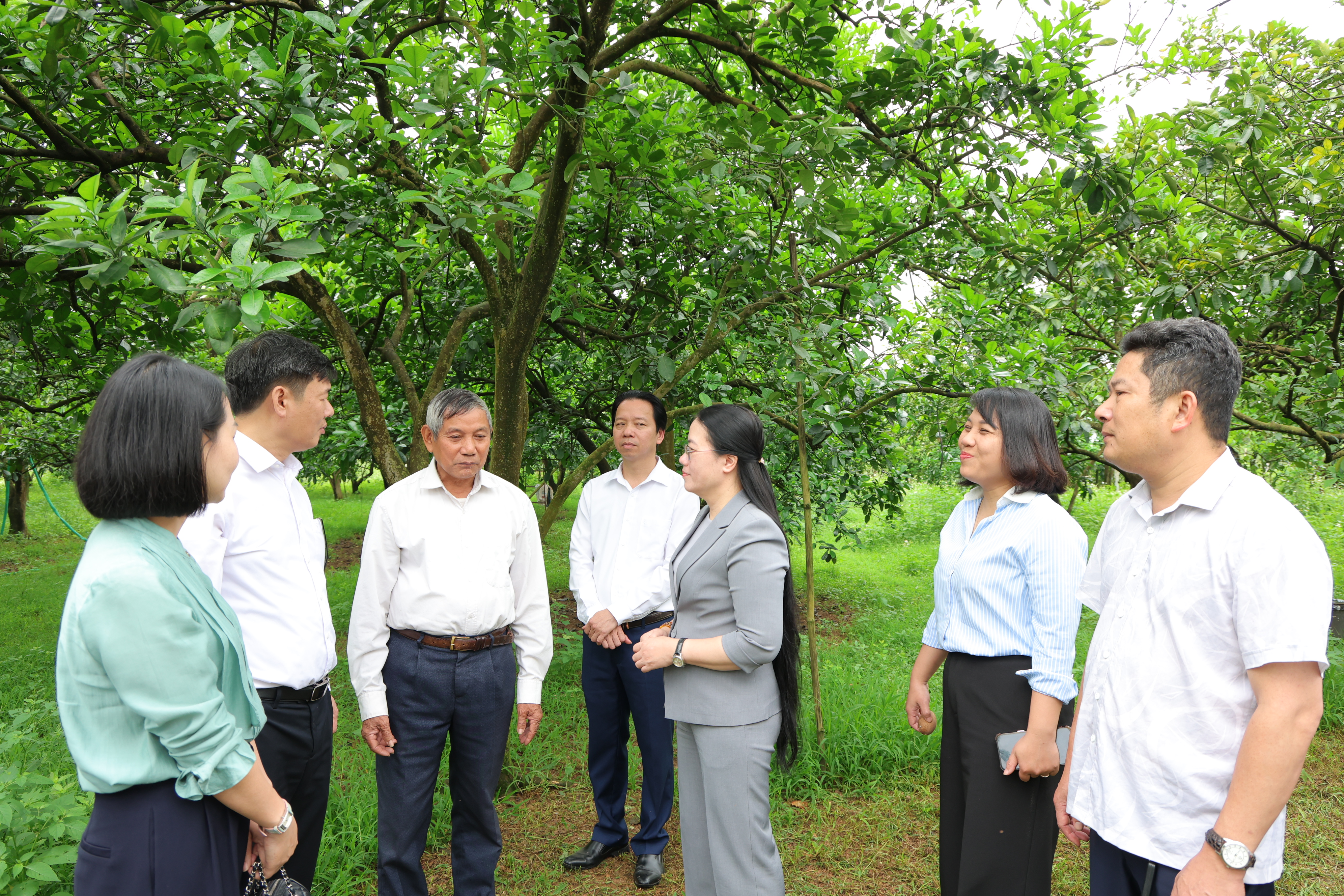 Hội Nông dân thành phố làm việc với xã Phú Nghĩa, thúc đẩy phát triển sản xuất, hỗ trợ hội viên nông dân