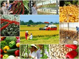 Đẩy mạnh phát triển ngành nghề nông thôn Hà Nội năm 2026 theo hướng bền vững, hiện đại