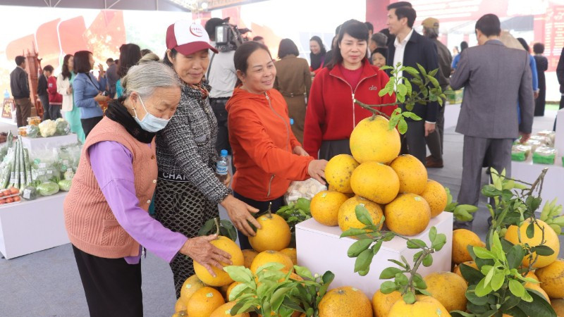 Tổ chức “Xuân Đoàn Viên” - Không gian trưng bày lan tỏa giá trị truyền thống, thúc đẩy tiêu dùng Tết