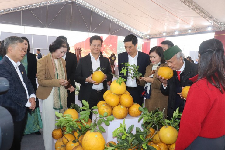 Hà Nội mở rộng không gian xúc tiến thương mại Tết 2026, kết nối tiêu dùng và lan tỏa giá trị hàng Việt