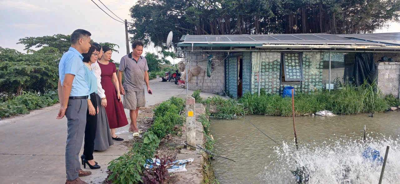 Xã Phượng Dực thúc đẩy chuyển đổi số nông nghiệp từ những mô hình sản xuất thực tiễn, hiệu quả