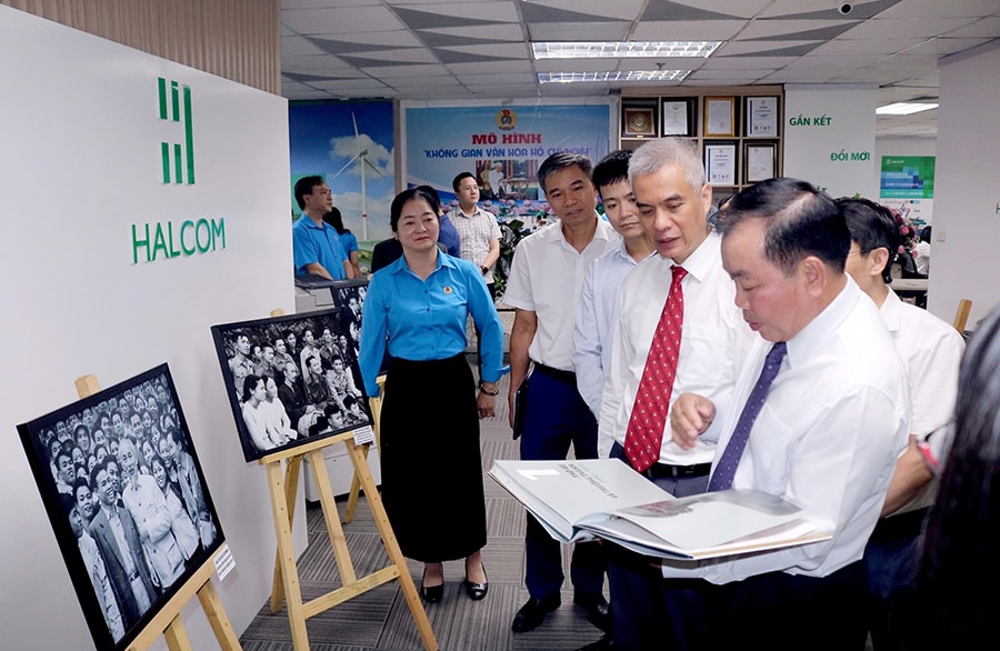 Ngọn đuốc soi đường