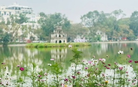 Hà Nội tăng cường bảo đảm trật tự đô thị, vệ sinh môi trường tại các không gian công cộng và vườn hoa