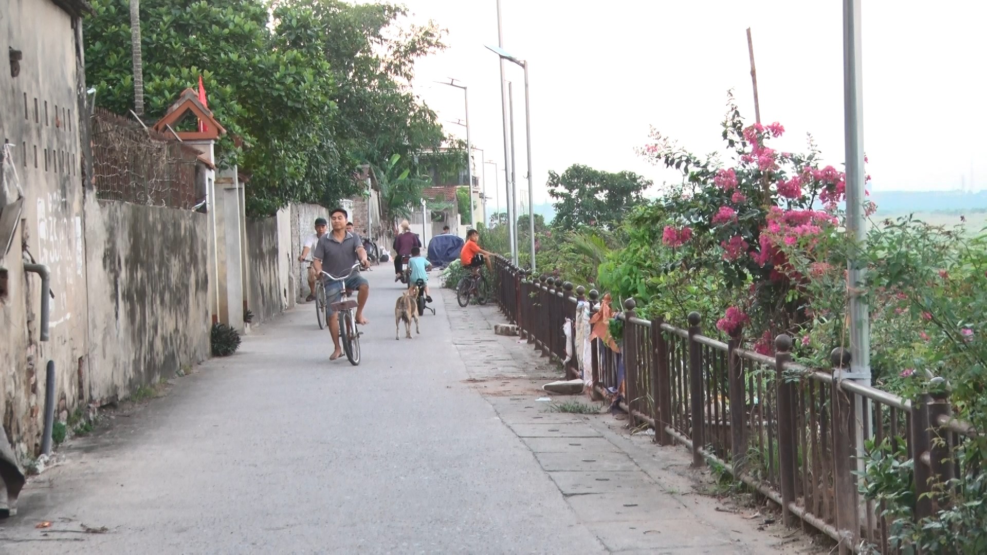 Xã Cổ Đô lan tỏa phong trào xã hội hóa điện năng lượng mặt trời, thắp sáng các tuyến đường nông thôn