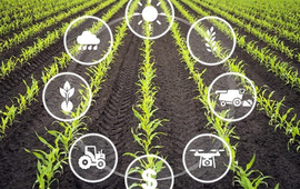 Hà Nội thúc đẩy xây dựng hệ sinh thái IoT trong nông nghiệp thông minh