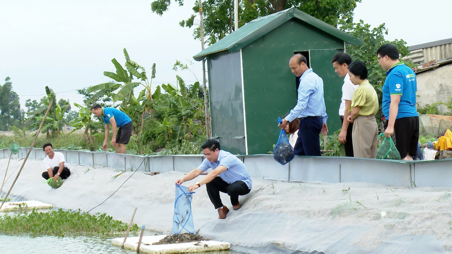Xã Ứng Hòa mở hướng phát triển thủy sản giá trị cao từ mô hình nuôi cua cà ra xuất khẩu tại thôn Đống Long